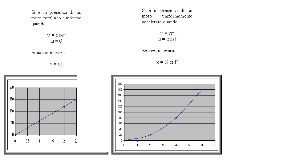 Organigramma